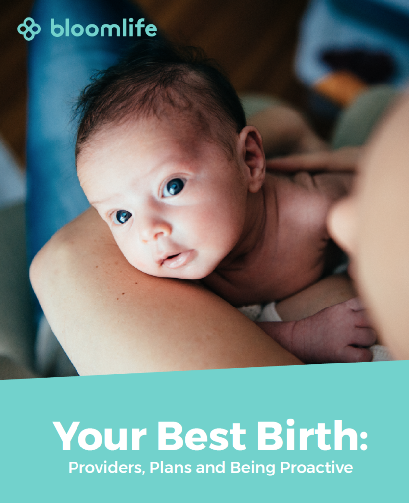 free ebook your best birth prenatal care providers